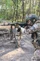 Выплаты за проведенные военные операции 